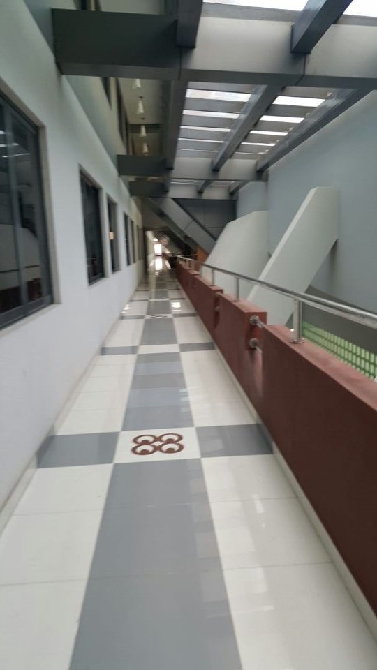 Ghanaian Parliament插图6